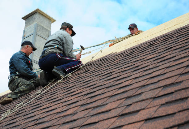 Best Local Roofing Companies  in Ingleside, TX
